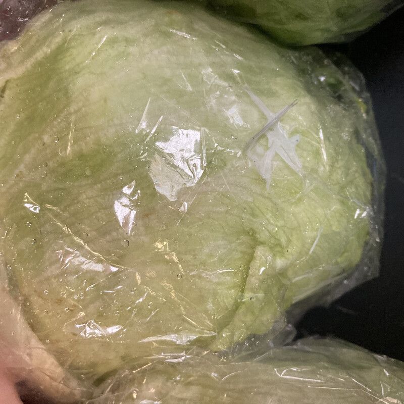 Iceberg Lettuce