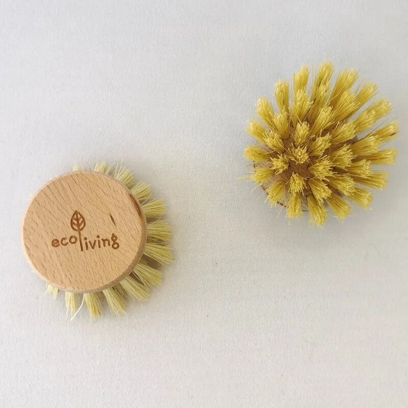 Replacement Brush Head for Wooden Dish Brush