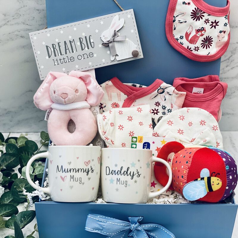 Premature Baby Girl & New Parents Gift Box Large - Pink Forest Animal