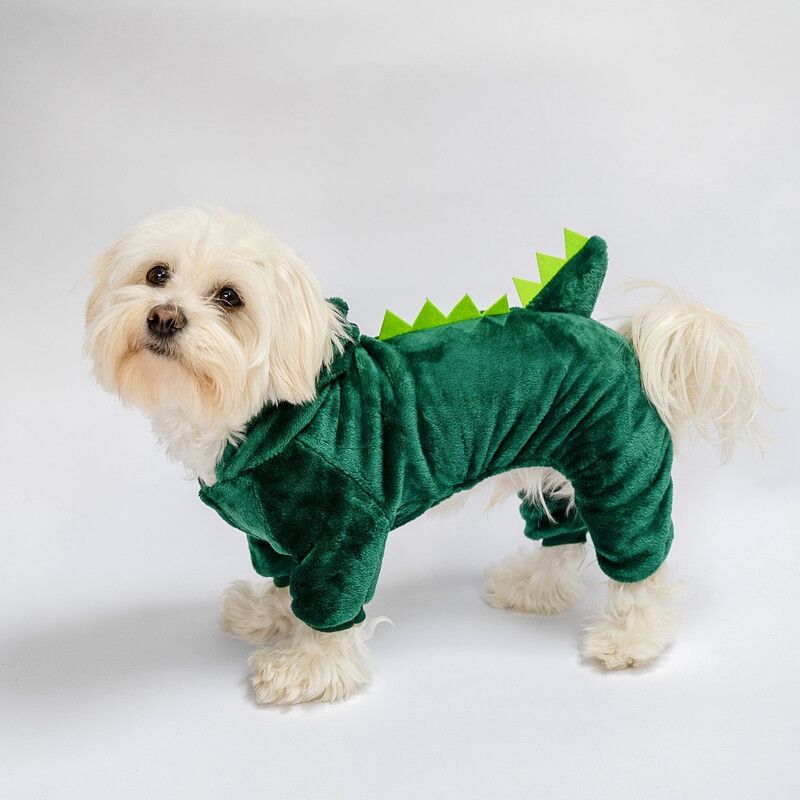 Puppy Dino-suit