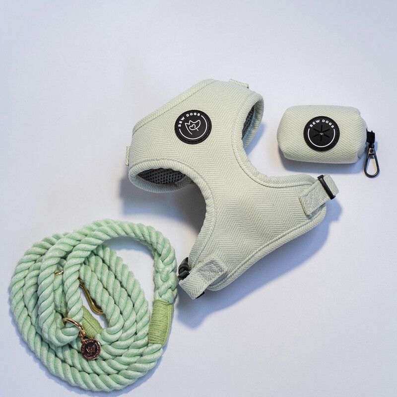 Harness lead and holder bundle - Mint Green