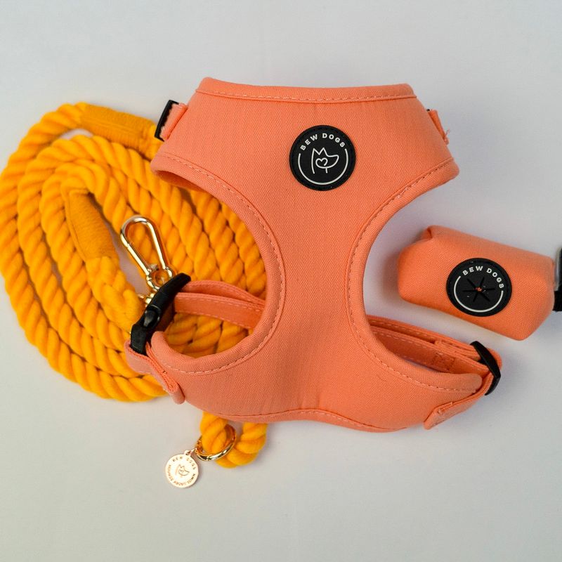 Harness lead and holder bundle - Peach Orange