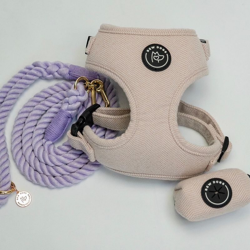 Harness lead and holder bundle - Lilac