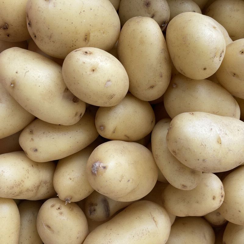 Washed New Potatoes 