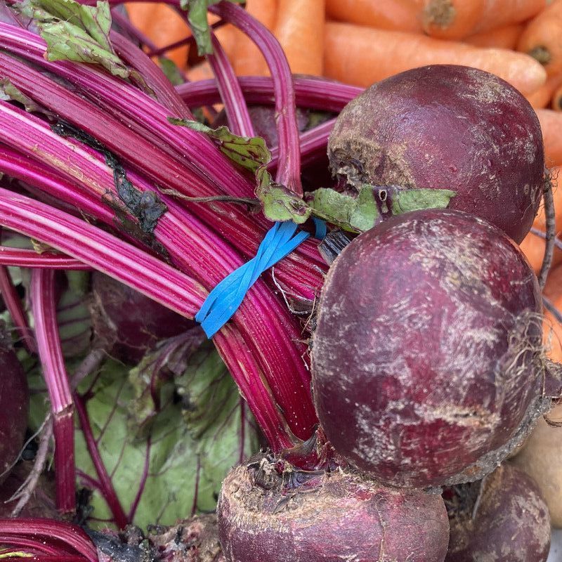 Bunched Beetroot 