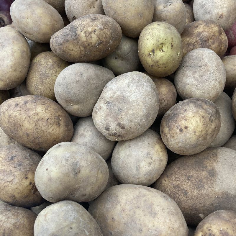 White Old Potatoes 