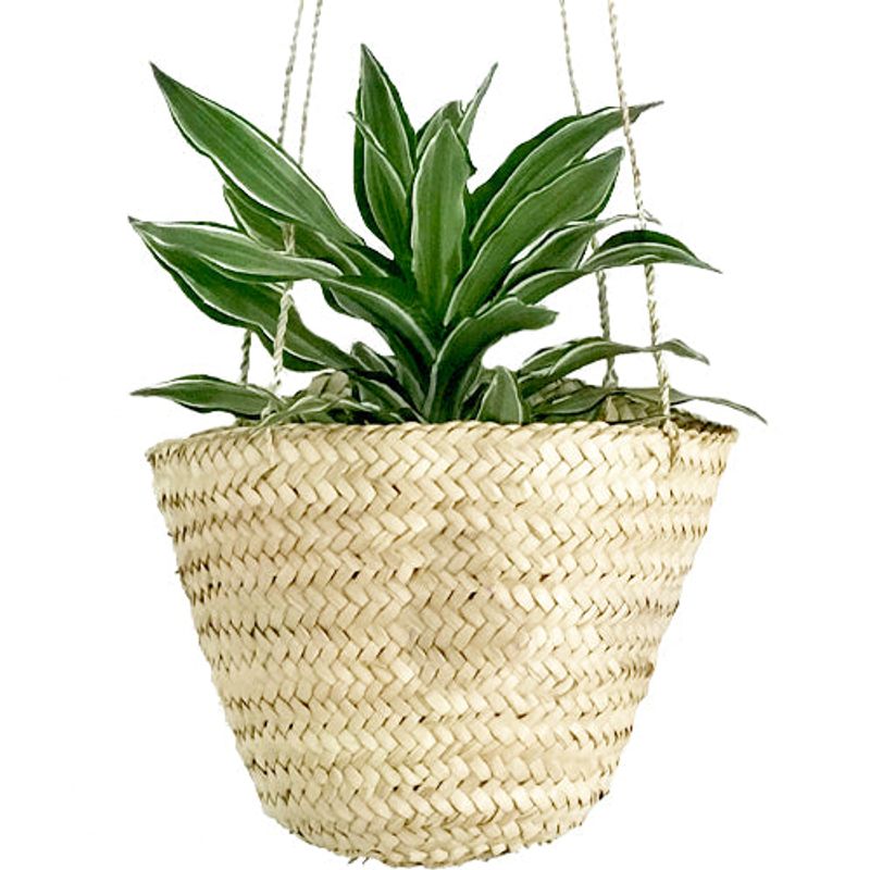 Hanging Plant Basket - Large